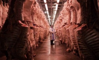 Artigo: Carne fraca, operação eficaz ou midiática?