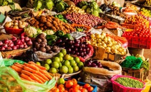 organicos-sna