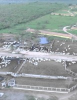 Copa dos Campeões de Vaquejada é em Pernambuco