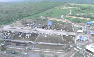 Copa dos Campeões de Vaquejada é em Pernambuco