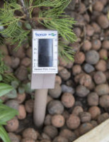 Tecnologia brasileira de baixo custo para irrigação ganha patente nos Estados Unidos