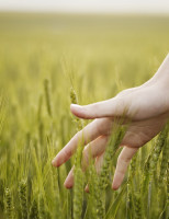 O campo é único setor com plena capacidade de emprego