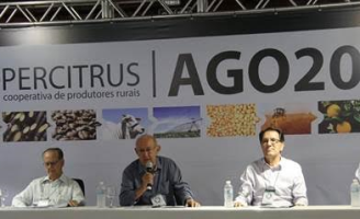 Plantadores de laranja brasileiros faturaram R$ 3 bilhões no ano passado