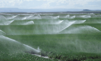 Projeto de irrigação comunitaria em Pernambuco ganha  R$ 2 milhões em investimentos