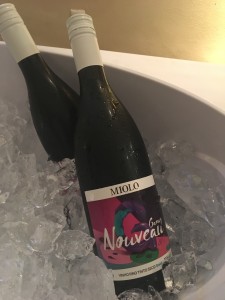 miolo lançamento 1
