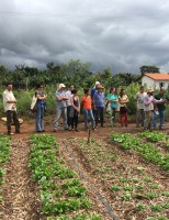 Produtos da agricultura familiar em 14 estados tem preços garantidos e bônus de até 70%
