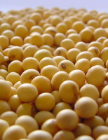 As exportações do agronegócio brasileiro somaram US$ 8,73 bilhões no mês passado
