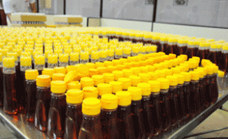 Agricultores podem aumentar a renda com produção de mel