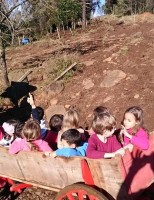 O agronegócio brasileiro registra crescimento do turismo rural