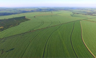 Abertura de vagas para programa de estágio na área agrícola