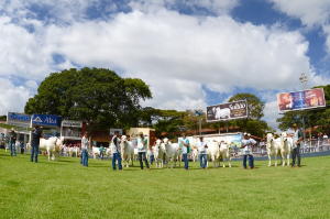 expozebu