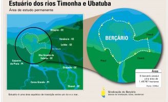 Estoques de pesca do estuário nordestino tem modelo para definir local e tempo de pesca