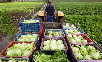 Definido o Plano Safra da Agricultura Familiar para os próximos 3 anos