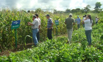 Produtividade do agronegócio brasileiro é uma das maiores do mundo