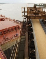 Exportações de soja lideraram as vendas brasileiras em abril