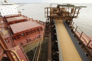 soja exportação