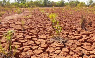 A degradação das terras produtivas brasileiras tem histórico antigo