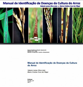 Arroz - livro de manejo