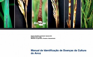 Um livro vai ensinar o produtor a identificação as doenças que atacam a plantação de arroz
