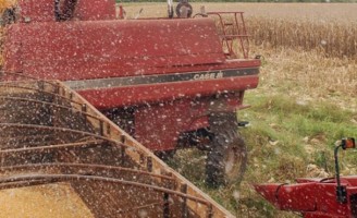 Exportações do agronegócio brasileiro cresceram 40% no último mês