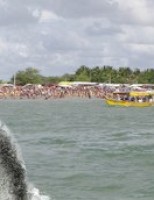 O Velho Chico ganha peixamento em homenagem ao Dia Mundial do Meio Ambiente