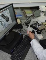 Pesquisadores brasileiros descobrem o gene que elimina a semente nas uvas