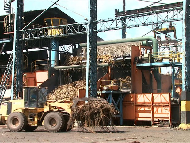 Safra de cana de açúcar em Pernambuco fica mais valorizada este ano