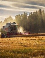 Produzir com sustentabilidade e cuidados com o meio ambiente