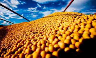 Brasil tem o segundo melhor superavit do agronegócio em junho