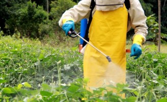 A importância do manejo e uso de agrotóxicos na propriedade rural
