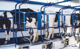 Informações sobre a produção de leite no Brasil