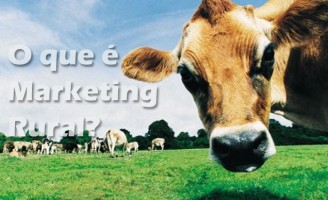 O agronegócio brasileiro pode crescer mais usando estratégias de marketing