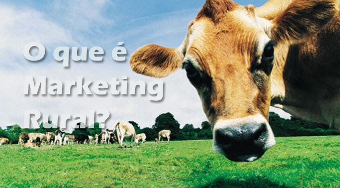 O agronegócio brasileiro pode crescer mais usando estratégias de marketing