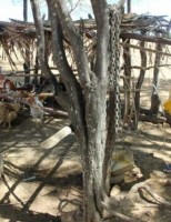A importância da presença feminina no campo está crescendo