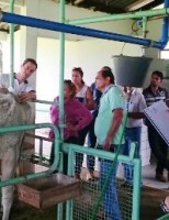 Abertas vagas para contratação de 300 veterinários