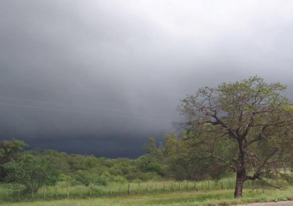Primavera começa com chuva no Brasil