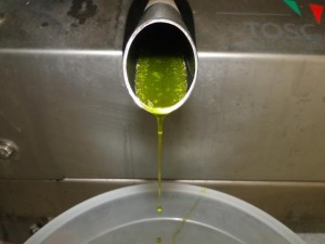 azeite de oliva