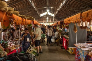feira de agroecologia