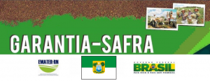 garantia safra