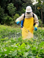 Orientações para uso correto dos agrotóxicos