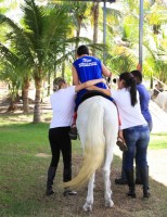 A importância do cavalo no tratamento de doenças em humanos