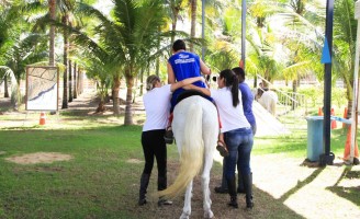 A importância do cavalo no tratamento de doenças em humanos