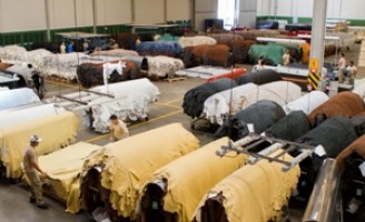 Desperdícios e erros no manejo das pelas provocam prejuízos no setor de couro