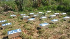 Aumenta a emissão de gases do efeito estufa no país