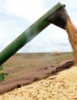 Agronegócio brasileiro exporta mais 23,7% em setembro