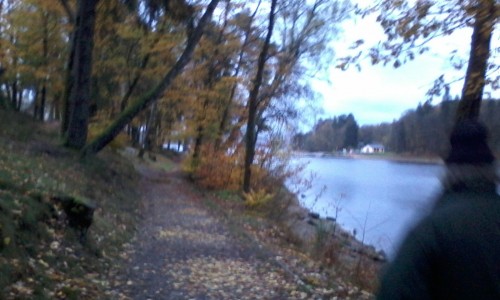 <h2><a href="https://nordesterural.com.br/caminhos-do-morvan-franca/">Caminhos do Morvan, Fran&ccedil;a</a></h2>Uma imagem de uma trilha em volta do Gran Lacs do Morvan. O passeio dura 4 horas e faz todo o contorno do lago. Momentos especiais para o turista franc&ecirc;s