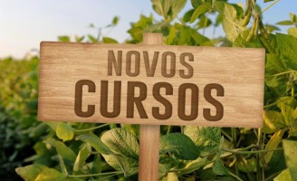 Produtores e profissionais podem fazer cursos à distância para especialização