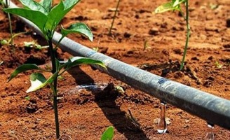 Kits de irrigação usam tecnologia israelense para economizar água e aumentar a produtividade