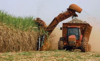 Produção de cana brasileira deve enfrentar uma redução