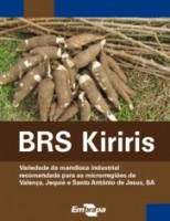 As variedades  de mandioca resistentes às pragas que atacam as plantações no Semiárido